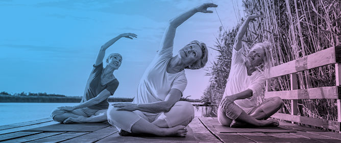 Yoga for Healthy Ageing: Evidence, Clinical Practice, and Policy Implications in the WHO Decade of Healthy Ageing