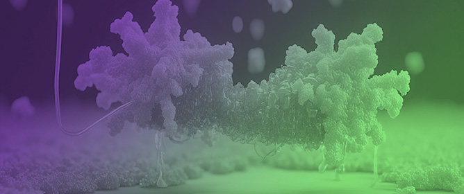 Biostimulation in Clean-Up Biotechnologies: The Present Scenario and Future Trends