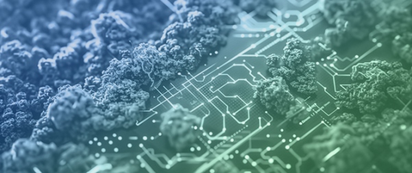 Machine Learning in Climate Downscaling: A Critical Review of Methodologies, Physical Consistency, and Operational Applications