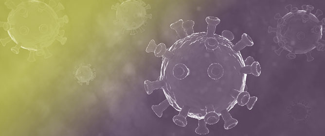 Discovery of Anti-SARS-CoV-2 XBB.1.5 and JN.1 Variant-Specific Monoclonal Single-Domain Antibodies from a Synthetic Library