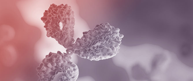 Developability Evaluation of Single-Domain Antibody-Chelator Conjugates for Diagnostic Radiotracers