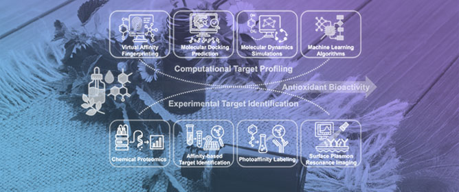 Essential Oils as Antioxidants: Mechanistic Insights from Radical Scavenging to Redox Signaling