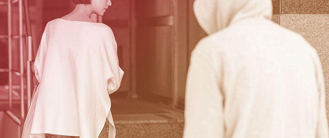 When Support Backfires: Supervisor/Organizational Support, Ego Threat, Narcissistic Strategies, and Power Harassment in Japan