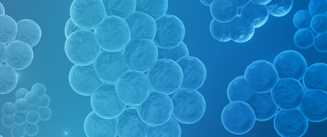 Antimicrobial and Antibiofilm Activities of <em>Pseudoalteromonas</em> Bacterial Strains Isolated from Marine Environment Against Potential Fish Pathogen <em>Tenacibaculum discolor</em> Strain FMCC B487