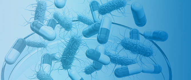 Antimicrobial Resistance in the British Columbia, Canada, Finfish Aquaculture Industry (2007&ndash;2018): A Historical Provincial Collection of Reported Isolates