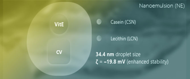 Casein&ndash;Lecithin Nanoemulsions Co-Encapsulating Vitamin E and Carvacrol as Multifunctional Edible Coatings for Meat Preservation