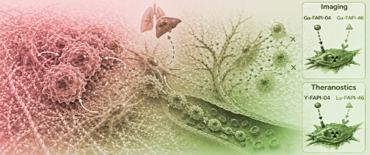 Cancer-Associated Fibroblasts: Clinical Applications in Imaging and Therapy