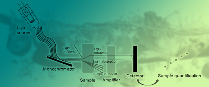 Nanostructure-Enhanced Optical Sensing Platforms for Pesticide Analysis in Food and Water Samples: A Review
