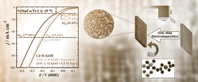 PVD TiN Coatings Improve the Wear Resistance and Durability of HSS Milling Tools in Solid Wood Machining