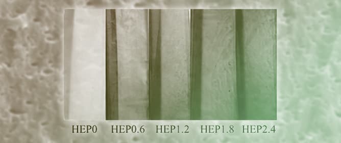 Hemp Seed Protein-Based Emulsion Films Containing Propolis Flavonoids: Enhanced Physicochemical Properties and Preservation of Chilled Pork