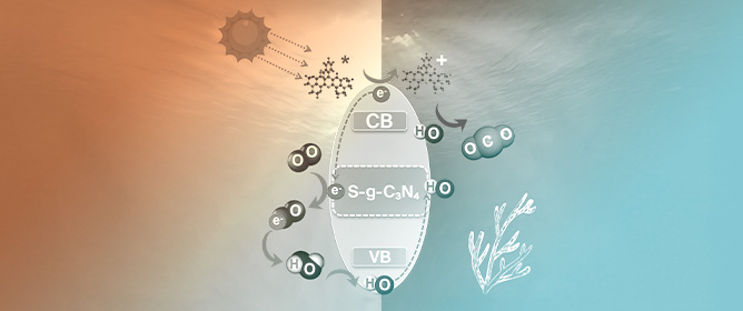 Durable Sulfur-Doped g-C<sub>3</sub>N<sub>4</sub> Catalysts with High Performance for Rapid Rhodamine B Degradation in Organic Wastewater