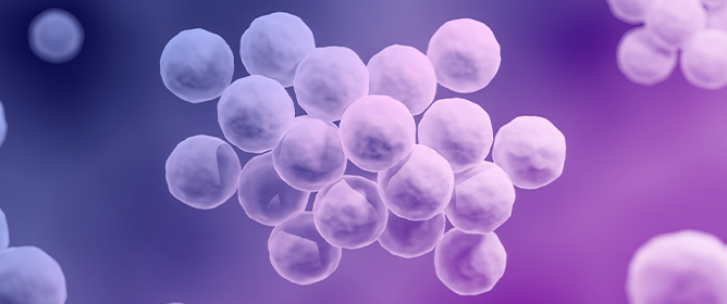 Anti-Biofilm Activity of Combinations of Cinnamic Acid and Its Derivatives with Cloxacillin Against Methicillin-Resistant <em>Staphylococcus epidermidis</em>
