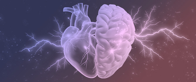 From Molecules to Meaning: Integrating Neuropeptides, Sociostasis, and Hormesis in the Brain&ndash;Heart Axis