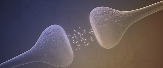 Neurotransmitter Systems in Alzheimer&rsquo;s Disease