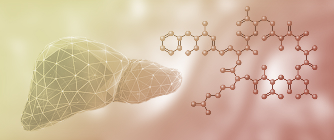 Microcystin-LR Drives Early NAFLD Pathogenesis via Hepatic Cholesterol Accumulation