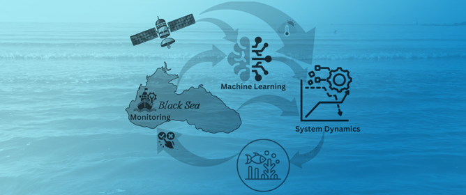 Smart Solutions for Eutrophication in the Black Sea