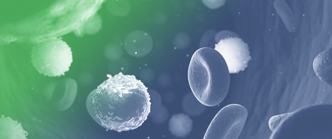 Management of Acute Myeloid Leukemia: A Review