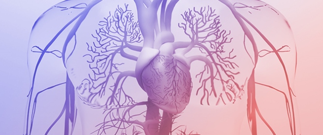 Exploring the Genetic Architecture of Myocarditis and Inherited Cardiomyopathies