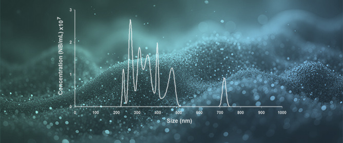 Some Aspects of the Stability of Nanobubbles