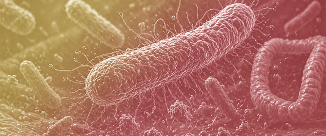 Hematological Profile of Patients with <em>Clostridioides difficile</em> Infection: Clinical and Prognostic Implications