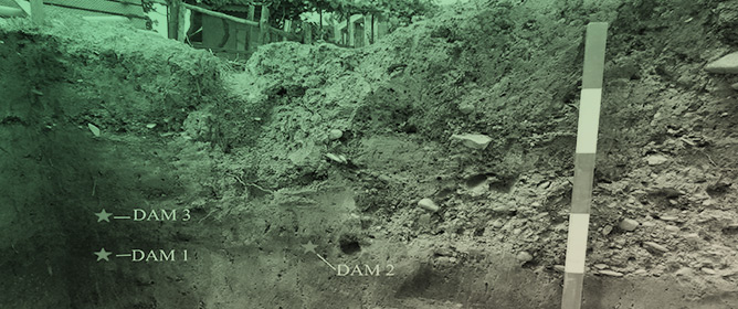 Phytolith Evidence for Vegetation Structure and Agro-Pastoral Resources During the Late Holocene: Insights from Medieval Sites of Northeastern Romania