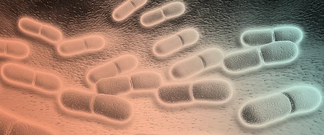 The &ldquo;Direct Structural Disruption&rdquo; Hypothesis: <em>Bacteroides fragilis</em> Toxin as a Potentiating Cofactor in MASH Pathogenesis