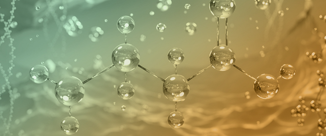 Models of Low-Dimensional Vector-Fuzzy Representations of Genetic Sequences and Amino Acids