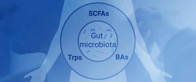 The Gut&ndash;Skin Axis in Inflammatory Skin Diseases