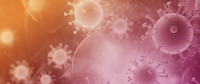 Influenza A(H3N2) Subclade K: Epidemiology, Molecular Evolution and Vaccine Effectiveness in Europe