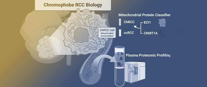 A Mitochondrial Plasma Proteomic Signature Identifies Metastatic Chromophobe Renal Cell Carcinoma
