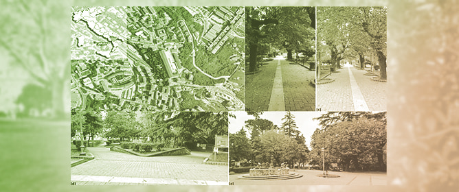 A Floristic Analysis and Reconstruction for the Renewal of Botanical Memory: The &ldquo;Experimental Agricultural Garden of Villa Santa Maria in Potenza&rdquo; (Southern Italy) as a Model