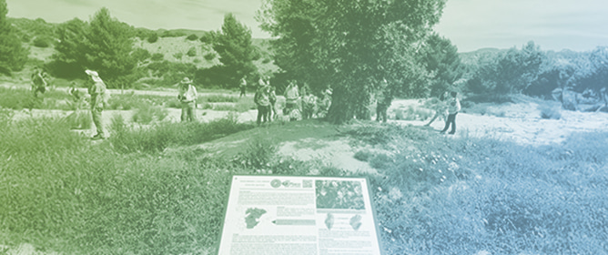 Beyond Barren Land: Establishing Gypsum Botanical Gardens as a Successful Tool for Conservation and Ecosystem Restoration
