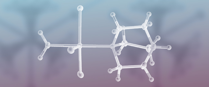 Copper(II) Bromide Complexes: Crystal Structures, Magnetic Properties, and Hydrogen-Bond-Mediated Exchange