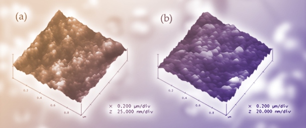 Plasticization by PEG as a Strategy to Tune Surface Properties of Hypromellose Films at the Nano/Macroscale