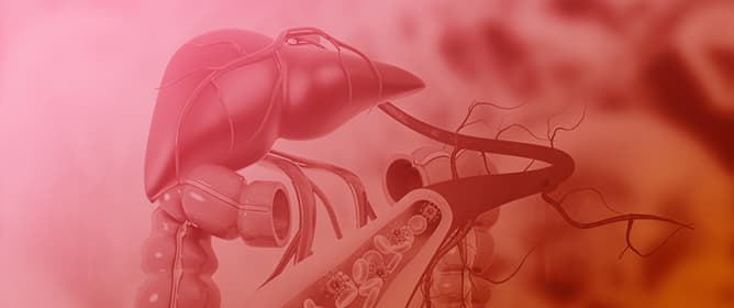Primary Biliary Cholangitis&mdash;The Changing Biomarker Paradigms for Staging Fibrosis