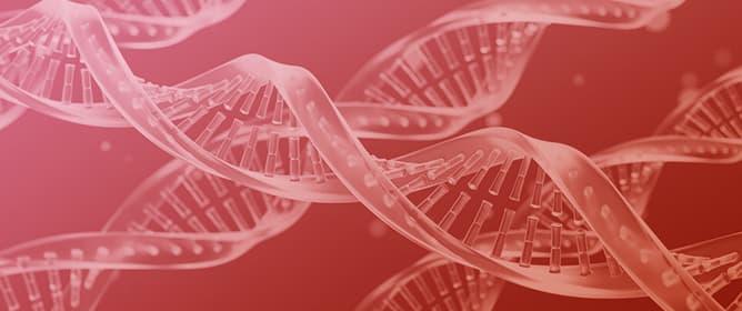 The Future of Liver-Targeted Protein Synthesis Inhibition: Current Treatments, Emerging Strategies, and Next-Generation Therapeutics