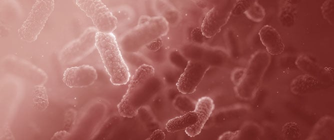 Impact of an Antimicrobial Stewardship Program on Antibiotic Consumption, Bacterial Susceptibility, and Costs in a High-Complexity Public Hospital