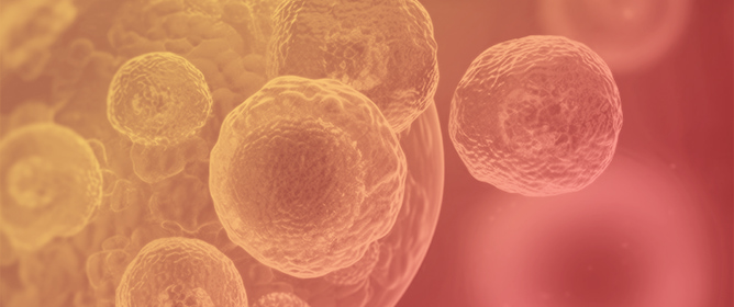 Metabolomic Signatures of Relapse and Survival in AML Patients Receiving Allogeneic Hematopoietic Stem Cell Transplantation