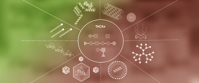 Conjugate Vaccines Targeting Tumor-Associated Carbohydrate Antigens