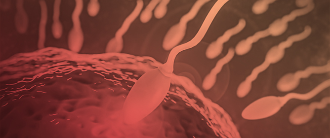 Sperm Microbiota and Its Potential Impact on Male Fertility: A Systematic Review