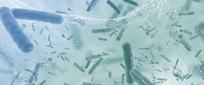 Assessment of Nursing Students&rsquo; Knowledge of Antibiotic Resistance in an Italian University Setting: A Survey of Knowledge, Attitudes, and Practices