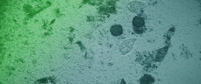 Dentistry Facing Challenges Due to the Surge in Waterborne Microbial Diseases