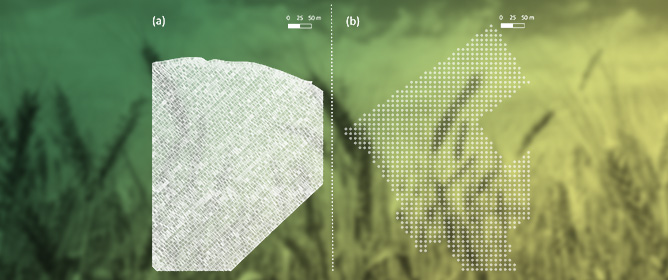 A Standardized Framework for Cleaning Non-Normal Yield Data from Wheat and Barley Crops, and Validation Using Machine Learning Models for Satellite Imagery