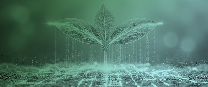 Nature-Based Solutions (NbS) in Agricultural Soils for Greenhouse Gas Mitigation