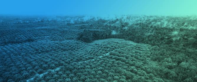 Using Tropical Forests and Crops in Innovative Carbon Trading Approaches to Address the Global Climate Emergency