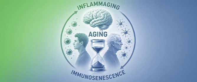Immunosenescence and Aging-Related Inflammation as Triggers of Neurodegeneration