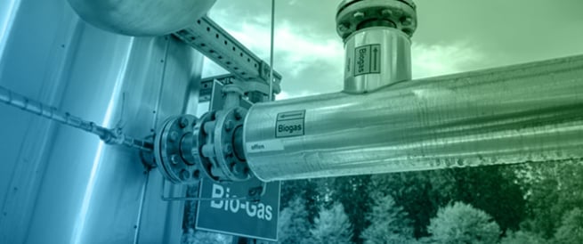 Mesophilic Trickle-Bed Reactors for Enhanced Ex Situ Biogas Upgrading at Short Gas Retention Times: Process Performance and Microbial Insights
