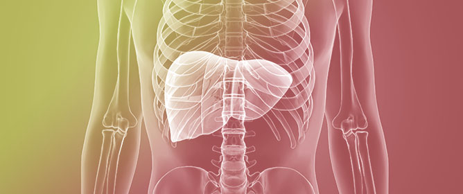 Exploring the Epidemiologic Burden, Pathogenetic Features, and Clinical Outcomes of Primary Liver Cancer in Patients with Type 2 Diabetes Mellitus (T2DM) and Metabolic Dysfunction-Associated Steatotic Liver Disease (MASLD): A Scoping Review