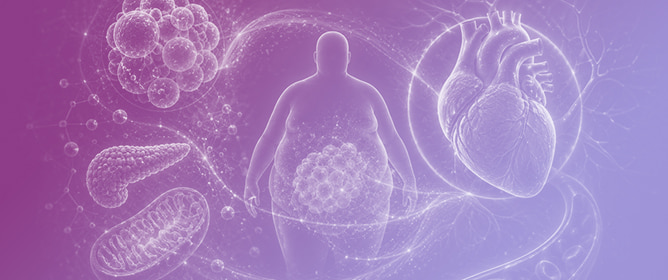 Obesity and Heart Failure: Introducing the Theme