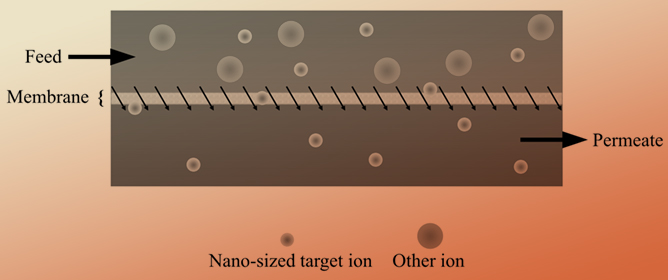 Membrane Separation for Rare Earth Elements (A Review)